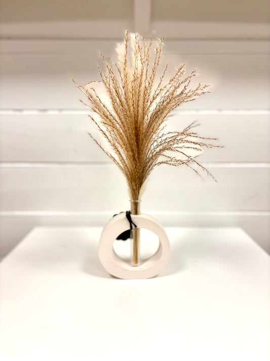 ROUND PROPAGATION VASES WITH PAMPAS FEATHERS-WHITE